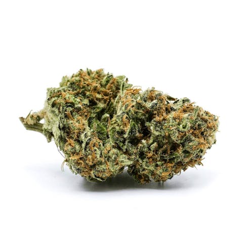 White Widow
