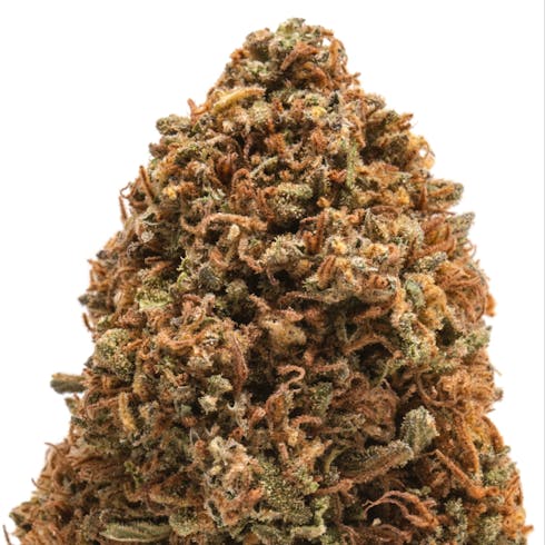 Orange Kush