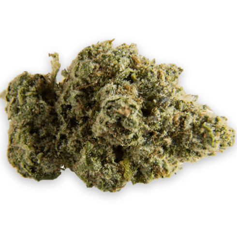 Lee Roy TK (Summa): 21.00% THC