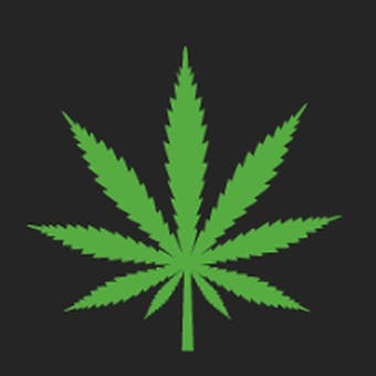 Giggles Cannabis - Hamilton