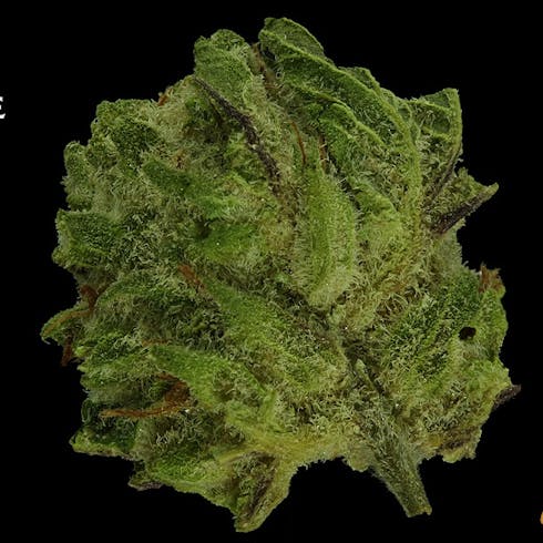 Claybourne Co. - Power Pack : Purple Punch + Kief