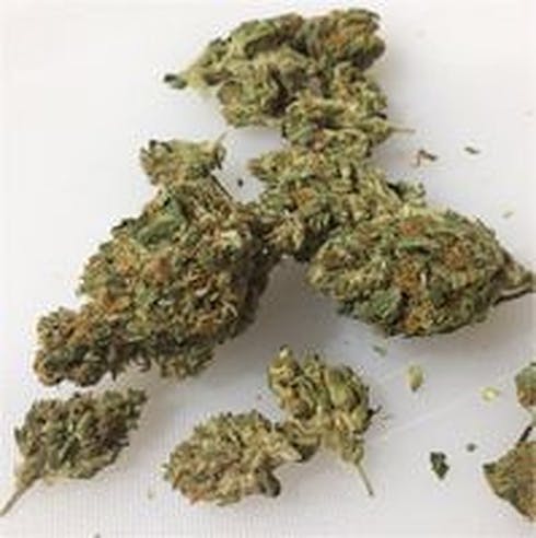 Sungrown: Dragons Breath by Sunna Ra Acres