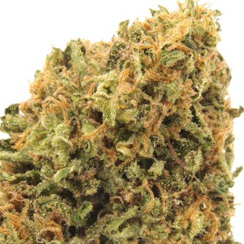 ORANGE COOKIES