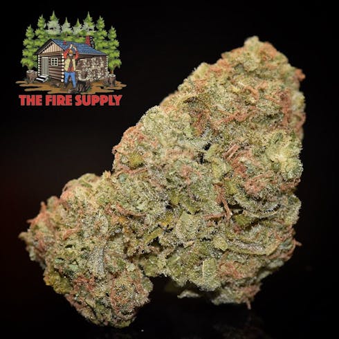 Pineapple By The Fire Supply