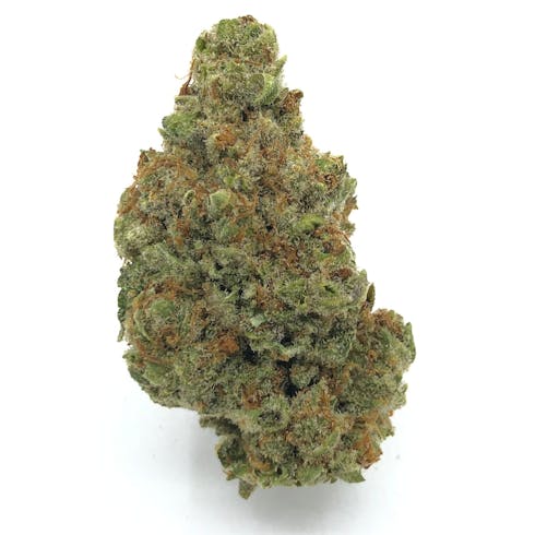 Primo Verde by Oregrown