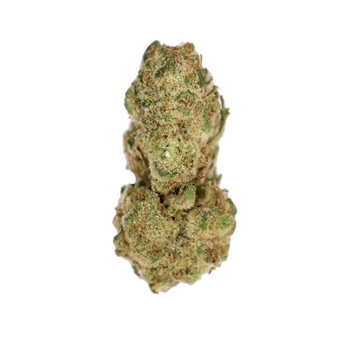 Premium Flower - Cookie Pie