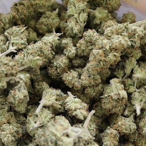Klemdawg by Choice Organics