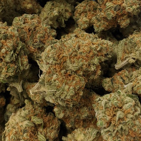 Super Sour Lemon (Connoisseur)