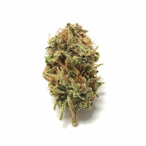 Special Tier I Pineapple Skunk