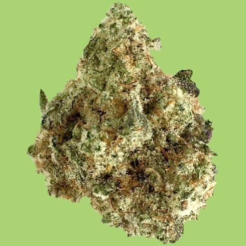 M.A.C. (Miracle Alien Cookies)