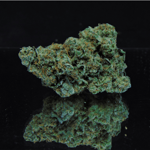 Frosted Cherries (GSC x Cherry Pie)