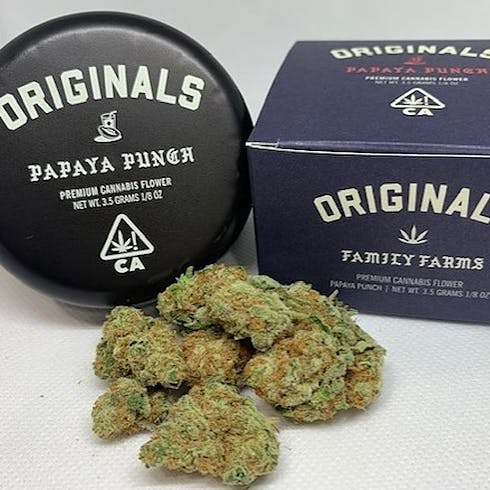 Papaya Punch