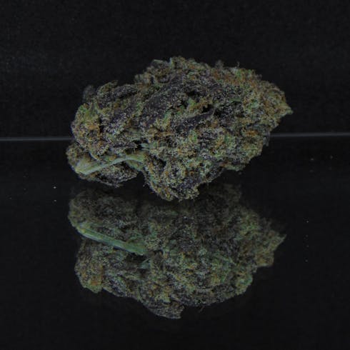 Blackberry Trainwreck (Blackberry Kush x Trainwreck) *Indica Hybrid