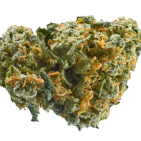 Willy's Wonder | Cannabis Nation