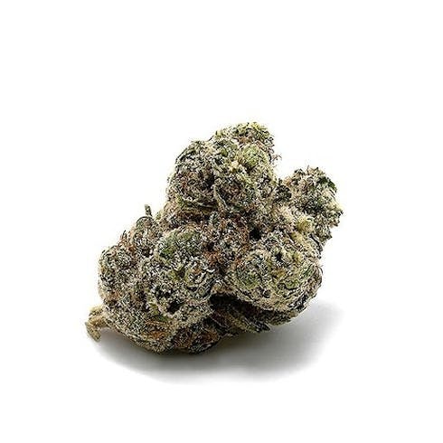 Tryke | V Kush