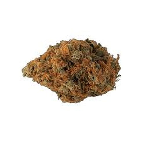 Moose and Lobsta | Cannabis Nation