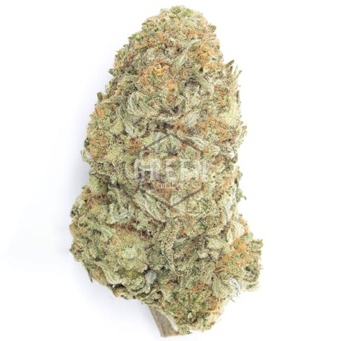 $99 Oz - The Vision (William's Wonder)