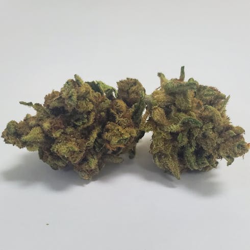 Purple Punch