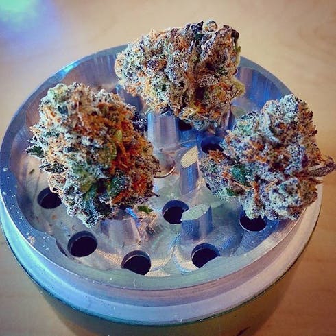Tahoe OG