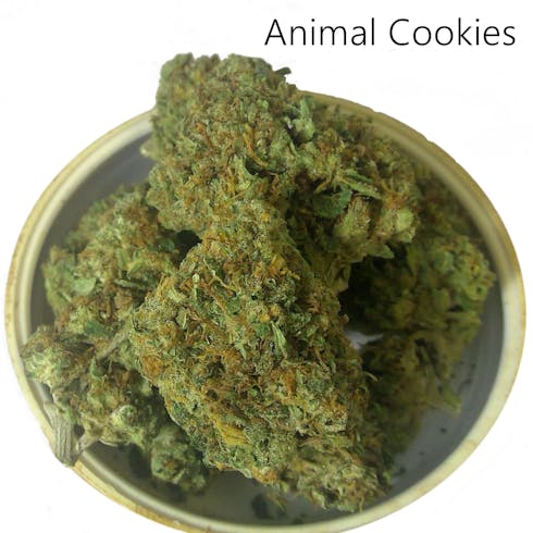 Animal Cookies (Taxes Included)