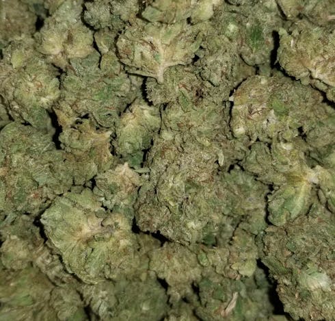 Original Glue (f.k.a. GG4)
