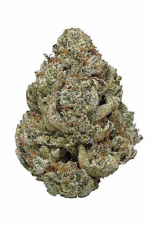 Original Glue (GG)