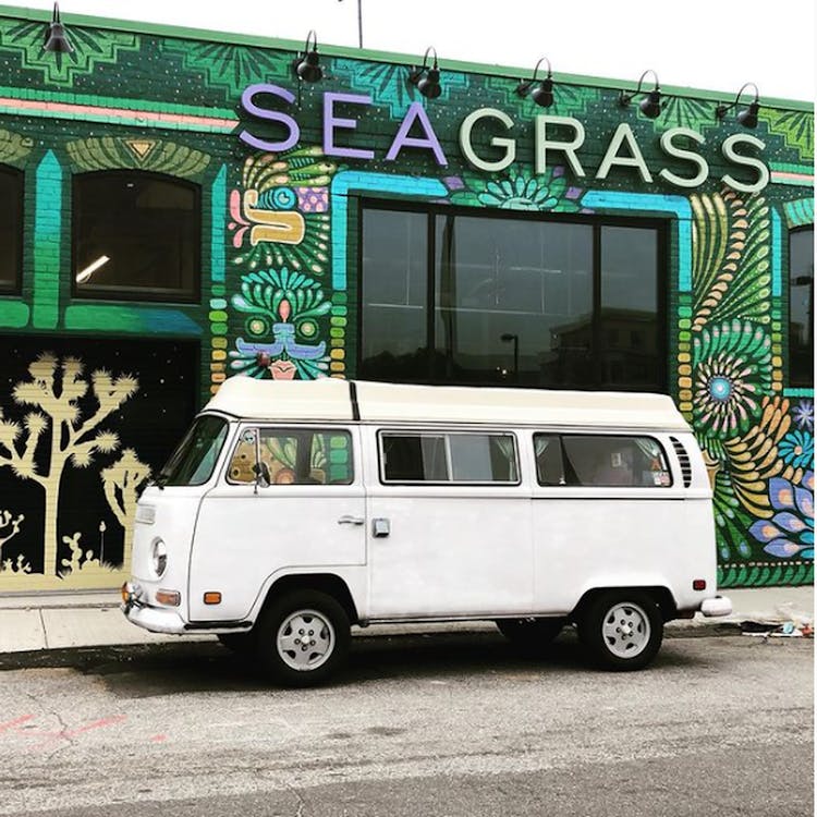 Seagrass