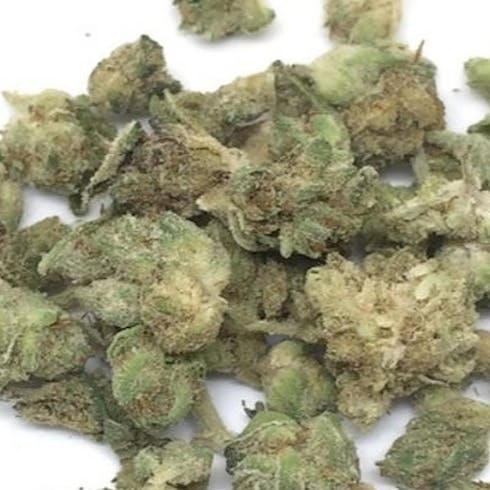 Zkittlez B-Buds Special