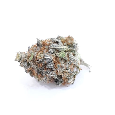 Buddha Tahoe