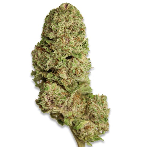 Blackberry Fire