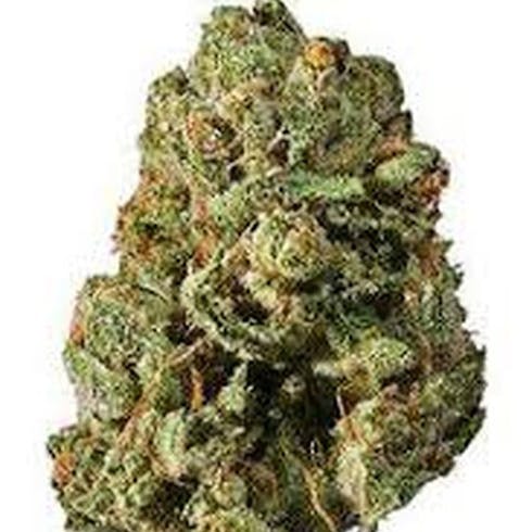 Papayahuasca #13 | 19.04% | HMS