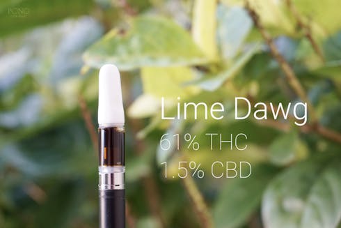 Lime Dawg (Key Lime x Chemdawg) Rosin Cartridge