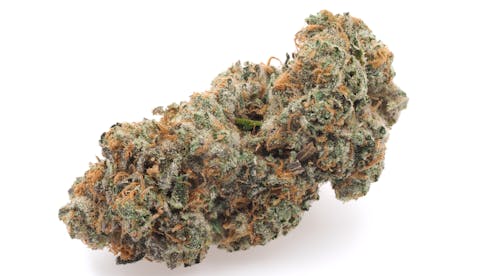 Moose Tracks SunGrown by Talking Trees Farms