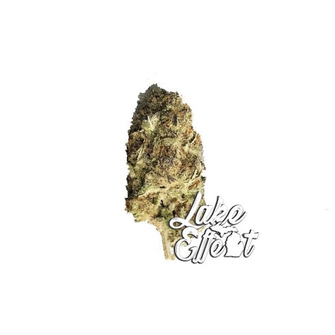 Alien Pie (19.51% THC)