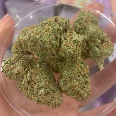 REC 21+ Pineapple Express - (S)