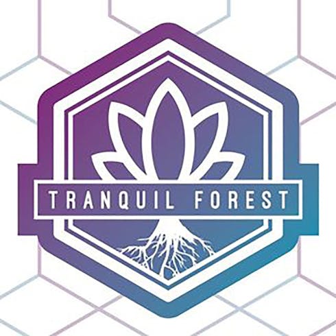 Tranquil Forest - Gelato 41
