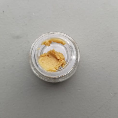 Blueberry Skunk Space Badder