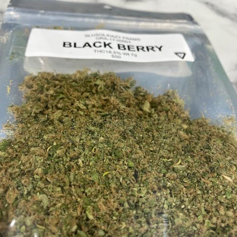 Blackberry Shake
