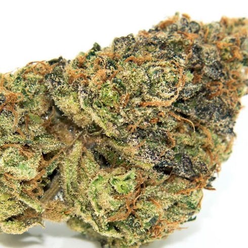 Gelato #33 (Taxes Included)
