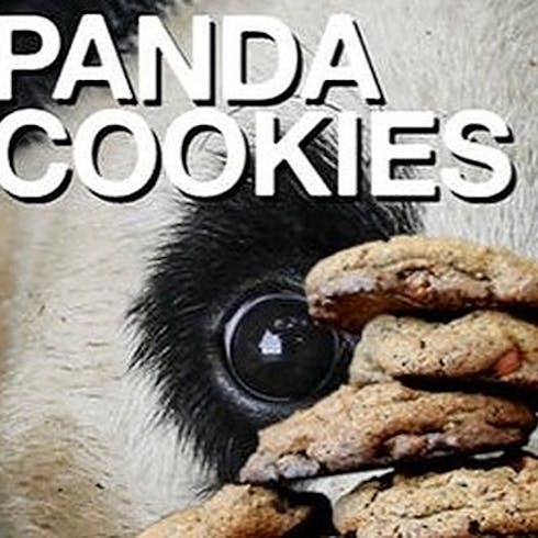 Panda Cookies by Phat Panda