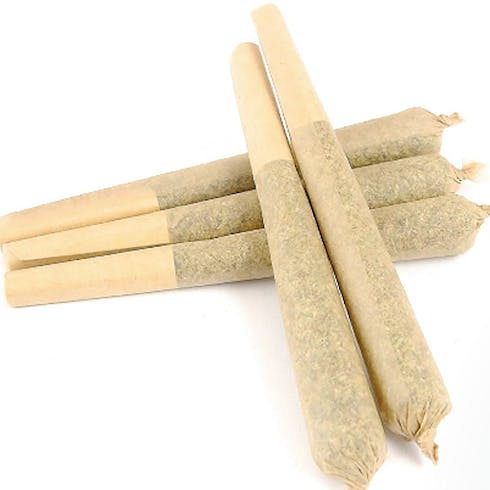 Jack Herer 0.5g Pre-Roll