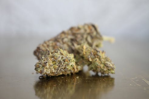 Nug Bros Sundae Driver