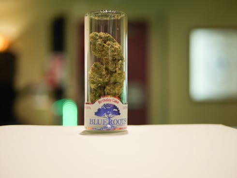 Birthday Cake by Blue Roots