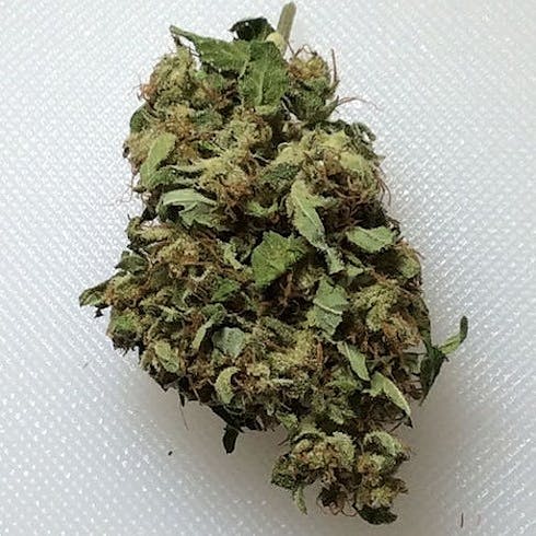 LA SAGE