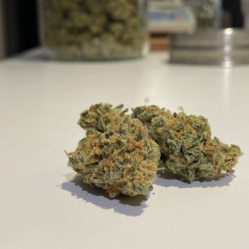 Unicorn Poop By Gadsden Gardens