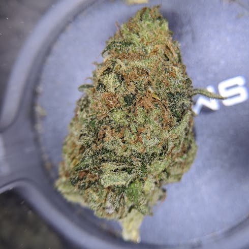 AMNESIA BLUE HEADBAND