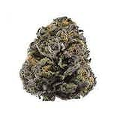 State Flower - 8th - GDP (I)