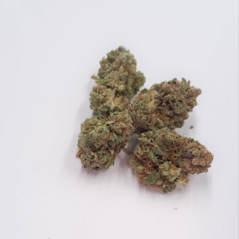 ALPHA BLUE