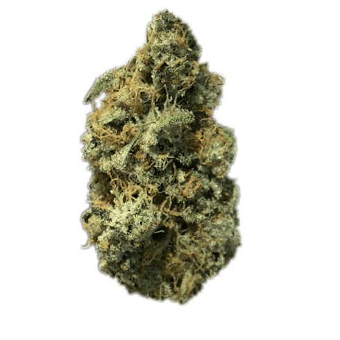 Gold - Durban Poison