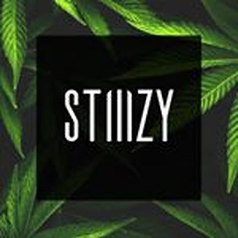 Mango 1:1 - Vape Cartridge - Stiiizy